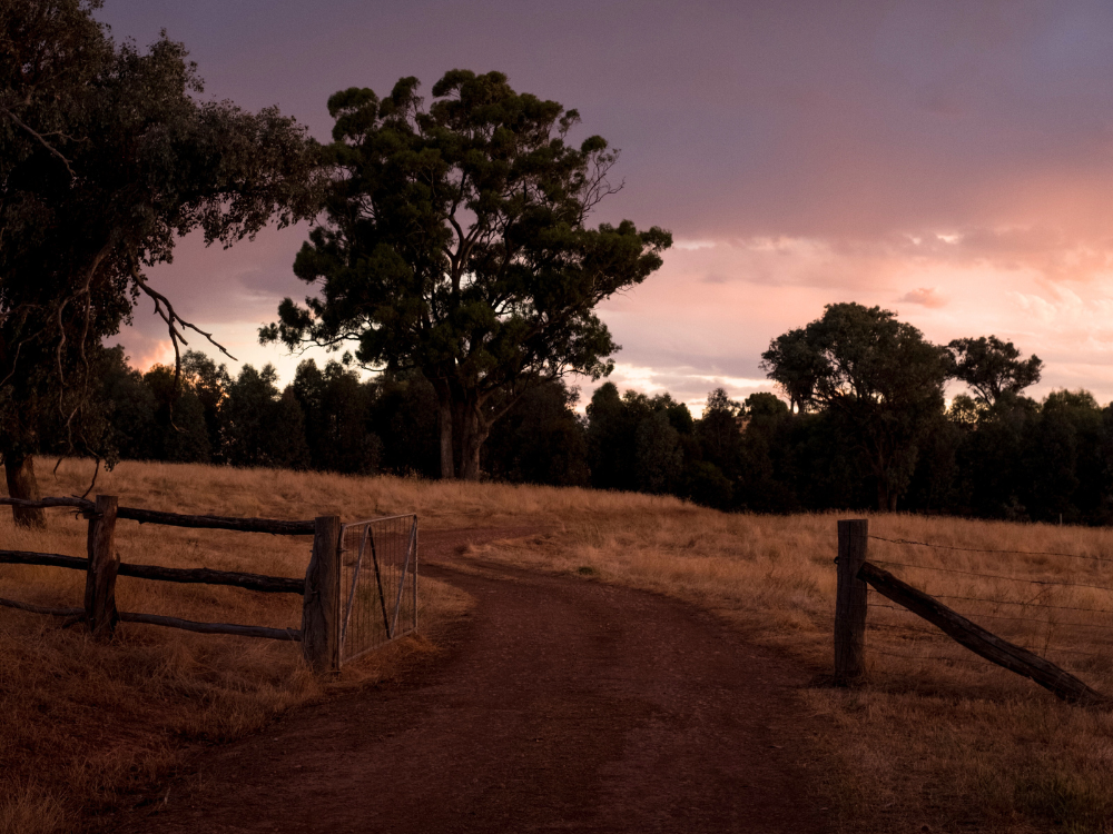 What's beyond your gate?