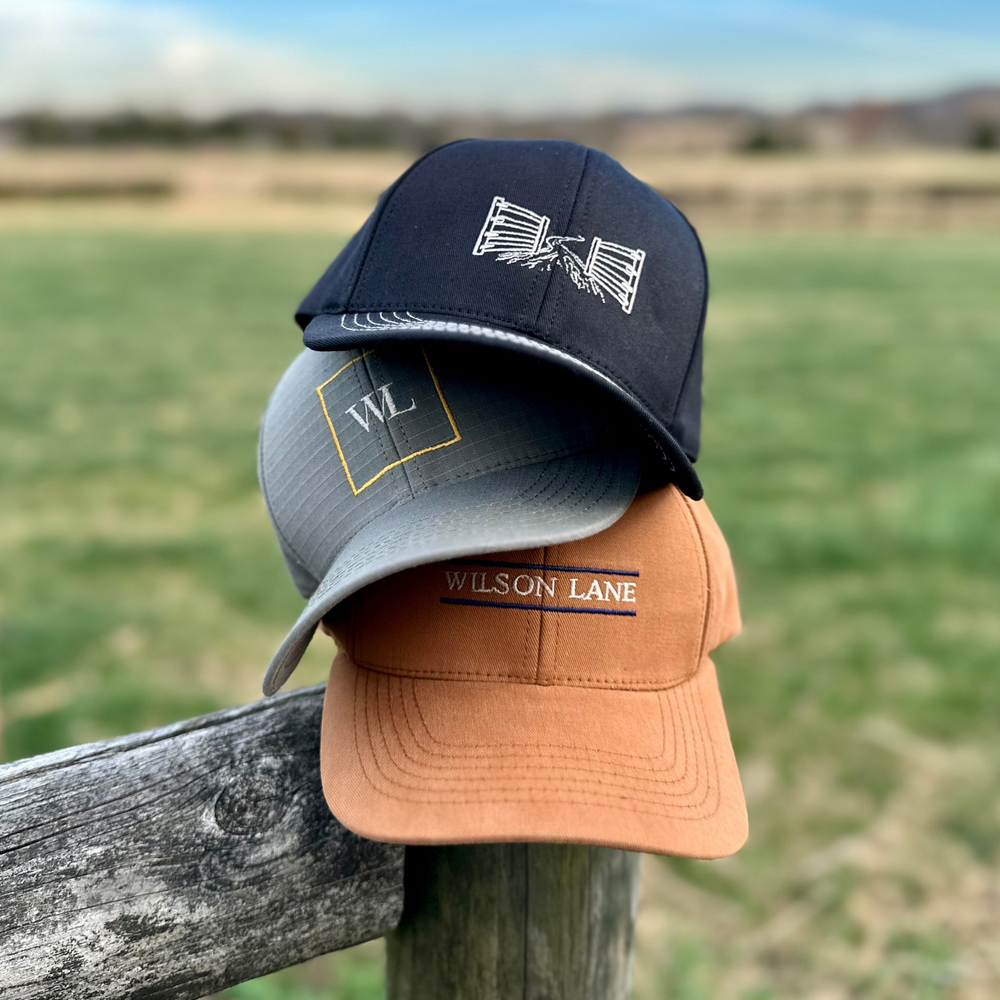 
                  
                    The WL Box Dad Hat
                  
                