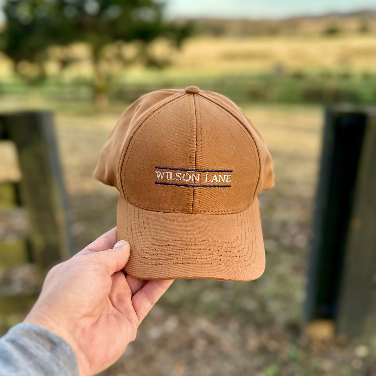 
                  
                    Down the Lane Structured Dad Hat
                  
                